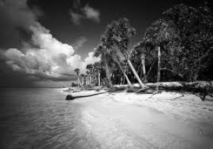 Butcher has created exquisite black-and-white photographs of North America's untouched natural landscapes and national parks for over 50 years.